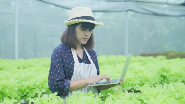 Koncepcja Rolnictwa Rozdzielczości Pracownik Sprawdza Wzrost Warzyw Ogrodzie Ocena Wydajności — Wideo stockowe