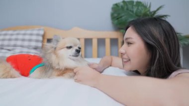 Tatil konsepti 4k Çözünürlük. Asyalı kadın odada köpeğiyle oynuyor..