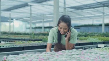 4k Kararlılığın iş konsepti. Dükkan sahibi bir cep telefonu kullanarak kaktüs satıyor. Asyalı kadın bir ağacı tanıtıyor. telefon iletişimi.