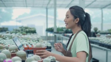 4k Kararlılığın iş konsepti. Dükkan sahibi bir bilgisayar kullanarak kaktüs satıyor. Asyalı kadın bir ağacı tanıtıyor. çevrimiçi ürün satmak.