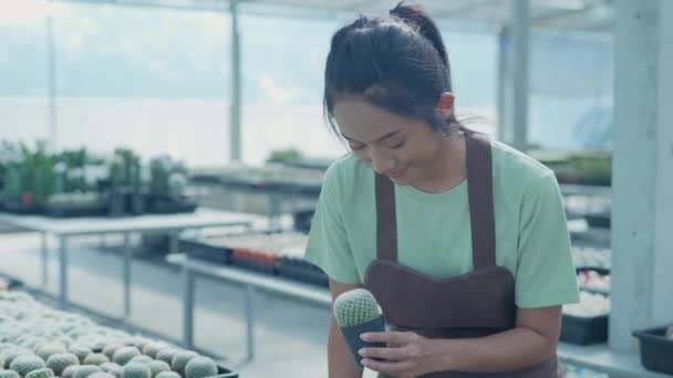 Forretning Koncept Resolution Asiatisk Kvinde Tjekker Kaktus Butik Produktvalg Træplanteskole – Stock-video