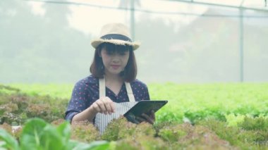 4k Çözünürlük Tarım Konsepti. Bir işçi bahçede sebzelerin yetişmesini kontrol ediyor. Bahçıvanın Üretim Değerlendirmesi.