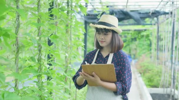 Mezőgazdaság Koncepciója Felbontás Munkások Jegyzetelnek Fák Növekedéséről Kertészek Termelékenységének Értékelése — Stock videók