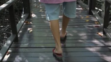 Seyahat konsepti 4k Çözünürlük. Yaşlı bir kadın mangrov ormanında mutlu bir şekilde yürüyor..