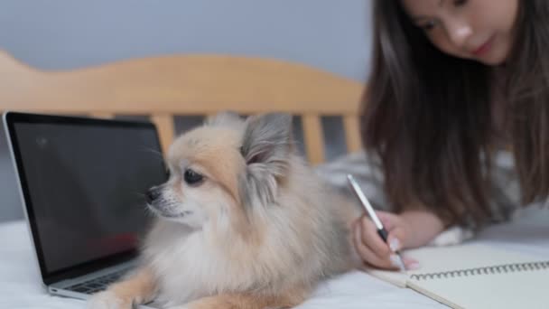 Koncepcja Wakacyjna Rozdzielczości Psy Czekają Ich Właściciele Się Pobawią Słodkość — Wideo stockowe