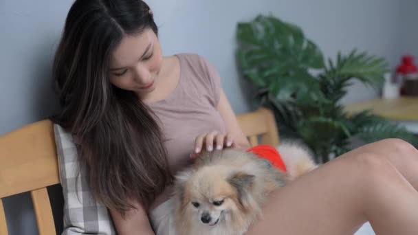 Concept Vacances Résolution Asiatique Femme Jouer Avec Son Chien Dans — Video