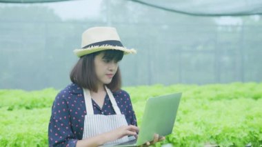 4k Çözünürlük Tarım Konsepti. Bir işçi bahçede sebzelerin yetişmesini kontrol ediyor. Bahçıvanın Üretim Değerlendirmesi.