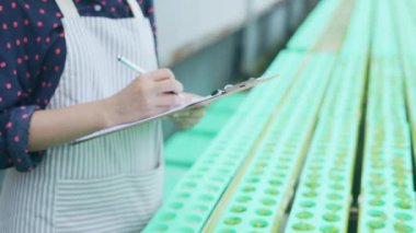 4k Çözünürlük Tarım Konsepti. İşçiler ağaçların büyümesi hakkında notlar alıyorlar. Bahçıvanın Üretim Değerlendirmesi.