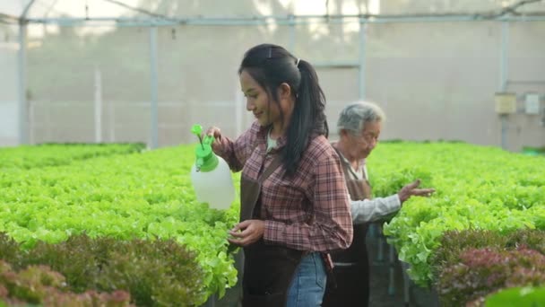 4K分解能の農業概念 温室で野菜を水やりするアジアの女性 ホルモン注射で成長を加速 — ストック動画