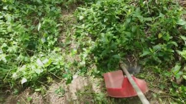 4k Çözünürlük Tarım Konsepti. Bahçedeki çimleri biçen çiftçiler.