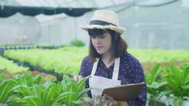 4k Çözünürlük Tarım Konsepti. İşçiler ağaçların büyümesi hakkında notlar alıyorlar. Bahçıvanın Üretim Değerlendirmesi.