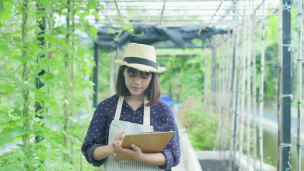 Concepto Agrícola Resolución Los Trabajadores Están Tomando Notas Sobre Crecimiento — Vídeos de Stock