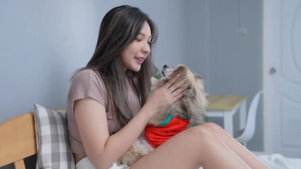 4K解像度の休日の概念 アジアの女性プレイとともに彼女の犬で部屋 — ストック動画
