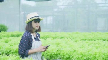 4k Çözünürlük Tarım Konsepti. Bir işçi bahçede sebzelerin yetişmesini kontrol ediyor. Bahçıvanın Üretim Değerlendirmesi.