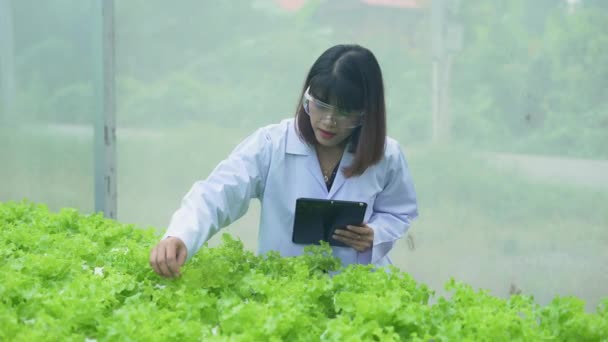 Concetto Agricolo Risoluzione Ricercatori Stanno Studiando Crescita Delle Piante Nelle — Video Stock