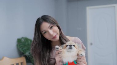 Tatil konsepti 4k Çözünürlük. Asyalı bir kadın evinde röportaj veriyor. Evde köpek büyütmekten bahsediyorum..