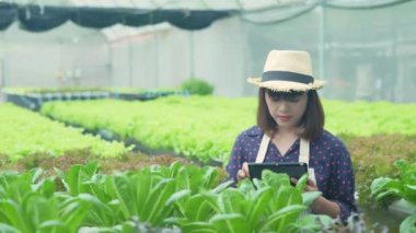 4k Çözünürlük Tarım Konsepti. Bir işçi bahçede sebzelerin yetişmesini kontrol ediyor. Bahçıvanın Üretim Değerlendirmesi.