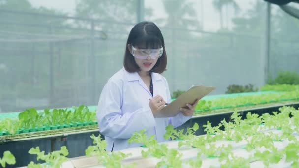 4K解析度的农业概念 研究人员对温室里的植物有信心地微笑着 植物生长数据收集实验 — 图库视频影像