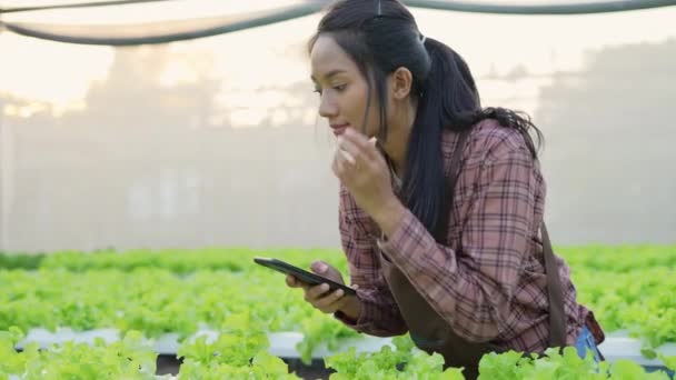 Zemědělský Koncept Rozlišení Dělník Kontroluje Růst Zeleniny Zahradě Hodnocení Produktivity — Stock video