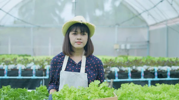Concepto Agrícola Resolución Mujer Asiática Explicando Sobre Cultivo Vegetales Orgánicos — Foto de Stock