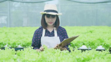 4k Çözünürlük Tarım Konsepti. İşçiler ağaçların büyümesi hakkında notlar alıyorlar. Bahçıvanın Üretim Değerlendirmesi.