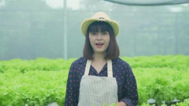 4k Çözünürlük Tarım Konsepti. Asyalı kadın organik sebze yetiştirmeyi açıklıyor. Bahçıvanın Özgüveni.