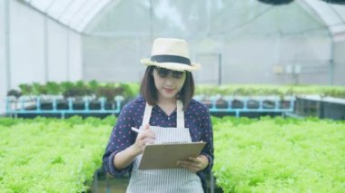 4k Çözünürlük Tarım Konsepti. İşçiler ağaçların büyümesi hakkında notlar alıyorlar. Bahçıvanın Üretim Değerlendirmesi.