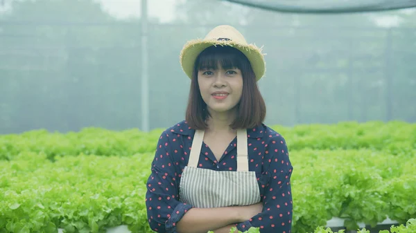 agriculture concept of 4k Resolution. Asian woman explaining about organic vegetable cultivation. Gardener\'s Confidence.