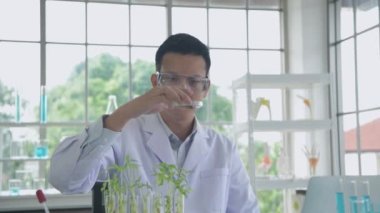 Research concept of 4k resolution. Asian scientists are researching plant growth in the laboratory.