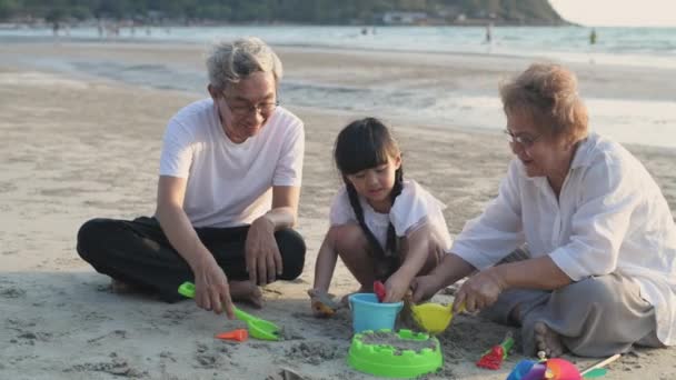 Holiday Concept Resolution Grandpa Grandma Playing Niece Beach Summer Vacation — Wideo stockowe