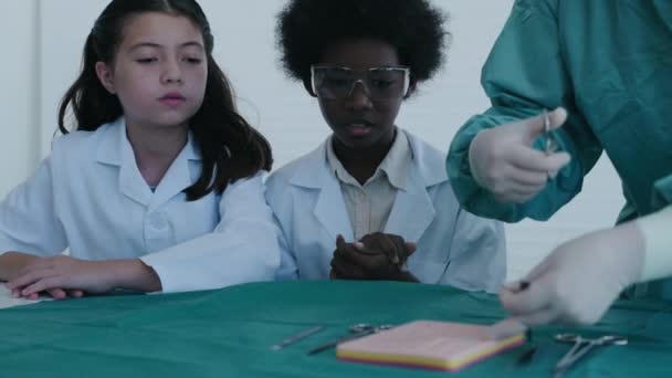 Oktatási Koncepció Iskolások Tanulják Hogyan Kell Sebet Varrni Felbontás — Stock videók