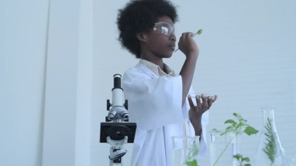 Vzdělávací Koncept Resolution Studenti Dělají Rostlinné Experimenty Laboratoři — Stock video