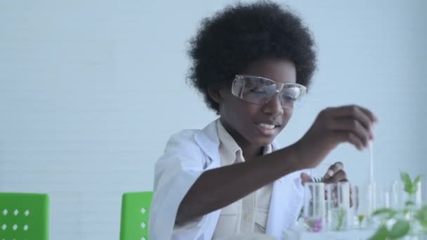 4K解像度の教育概念 学生は実験室で植物実験をしています — ストック動画