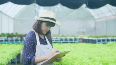 4k Çözünürlük Tarım Konsepti. İşçiler ağaçların büyümesi hakkında notlar alıyorlar. Bahçıvanın Üretim Değerlendirmesi.