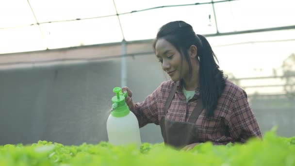 Landbouwconcept Van Resolutie Aziatische Vrouw Die Groenten Water Geeft Een — Stockvideo