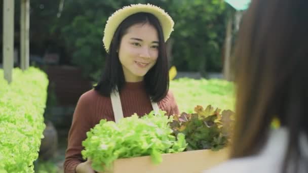 4K分解能の農業概念 庭師は庭の顧客に野菜を提供しています — ストック動画