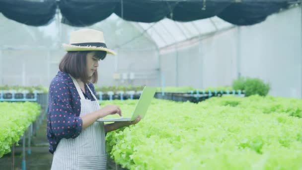 4K解析度的农业概念 一位工人正在花园里检查蔬菜的生长情况 园艺师的生产力评估 — 图库视频影像