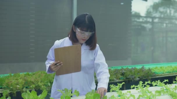 Jordbrukskonceptet Resolution Forskarna Ler Tryggt Skötseln Växterna Växthuset Insamlingsförsök För — Stockvideo