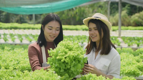 Conceito Agricultura Resolução Jardineiros Asiáticos Estão Trabalhando Juntos Uma Fazenda — Fotografia de Stock