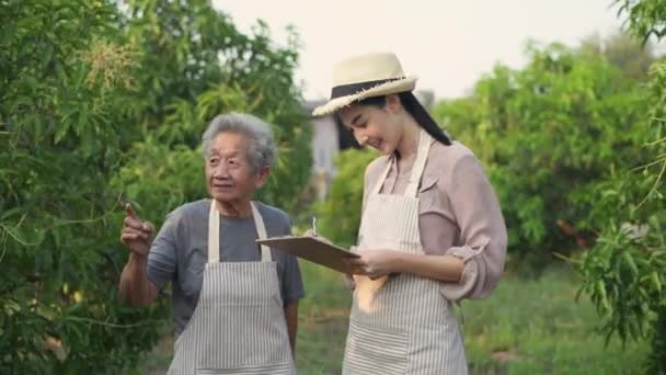 Zemědělský Koncept Rozlišení Teta Učí Svou Neteř Dělat Zahradu — Stock video