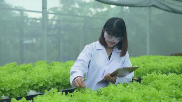 Conceito Agricultura Resolução Pesquisadores Estão Investigando Crescimento Plantas Estufas Manter — Vídeo de Stock