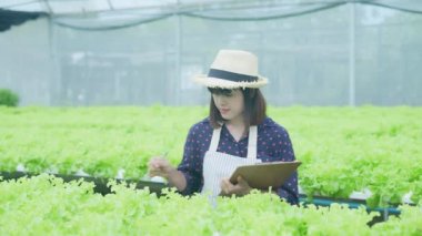 4k Çözünürlük Tarım Konsepti. İşçiler ağaçların büyümesi hakkında notlar alıyorlar. Bahçıvanın Üretim Değerlendirmesi.