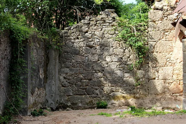 Geleneksel taş ev harabeleri kısmen taze yeşil sürüngen bitkileriyle kaplı ön tarafta çakıl ve arka planda yoğun ağaç dallarıyla çevrili sıcak bahar gününde.