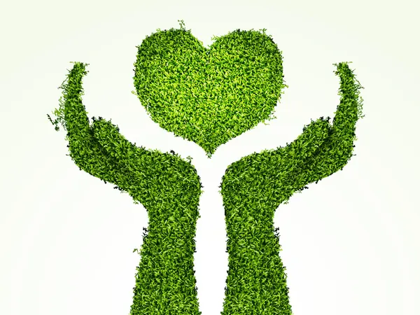Cuidando el medio ambiente, los brazos fuera de la hierba con su corazón. El concepto de ecología — Vector de stock