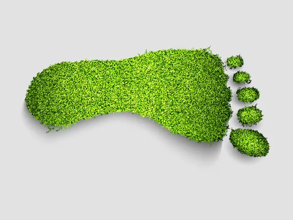 Piede erba verde — Vettoriale Stock