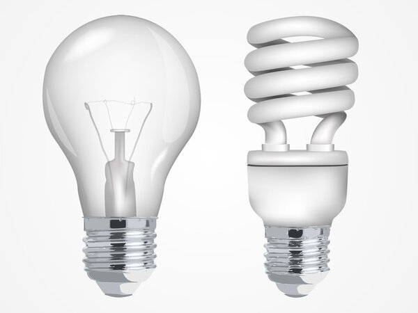 Incandescent and fluorescent energy saving light bulbs