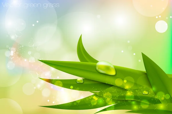 Vector achtergrond in pastel kleuren met groene gras en dauw — Stockvector