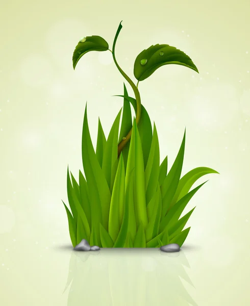 Grünes Gras mit dem Keim — Stockvektor