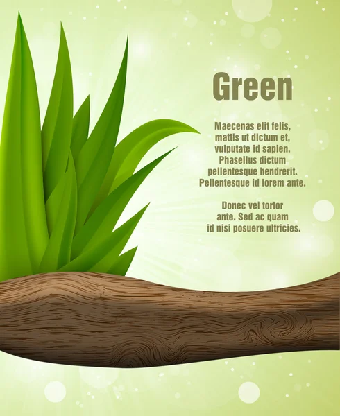 Grönt gräs med trä — Stock vektor