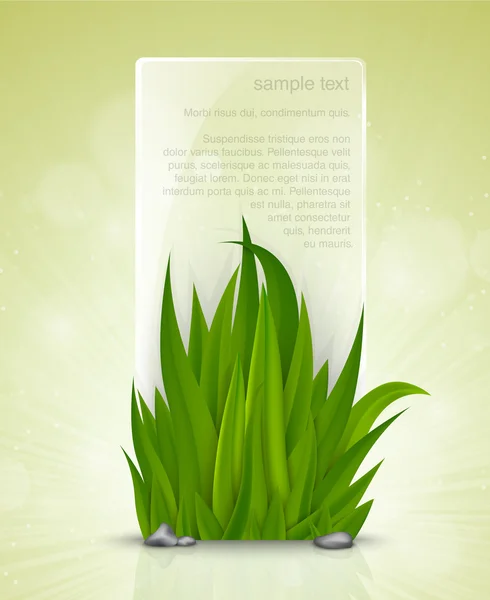 Cadre naturel de l'herbe verte et la plaque de verre — Image vectorielle